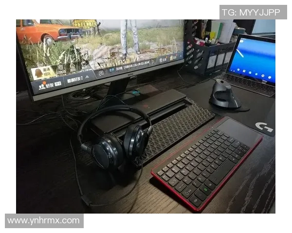 刘伟揭秘和平精英游戏技巧与心得分享助你快速提升战斗力